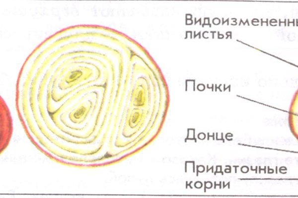 Мега онион сайт ссылка оригинал