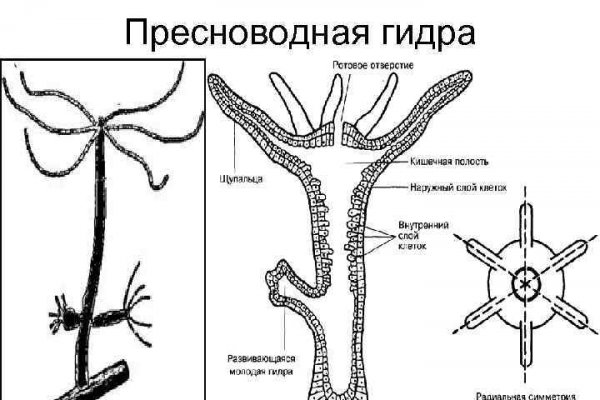 Как загрузить фото в блэкспрут через тор