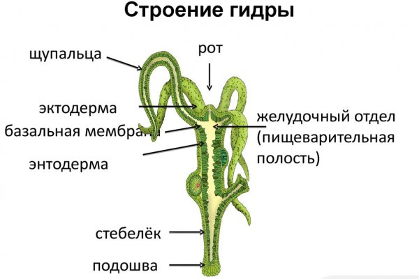 Омг наркомагазин