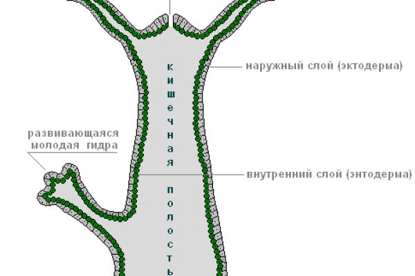 Как загрузить фотки на кракен